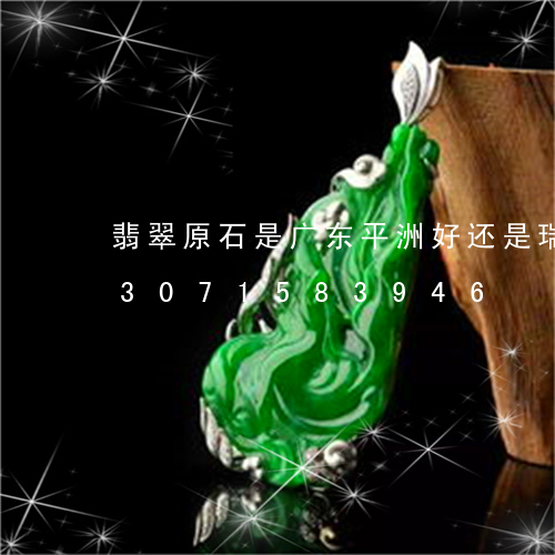 翡翠原石是广东平洲好还是瑞丽好/2023071583946