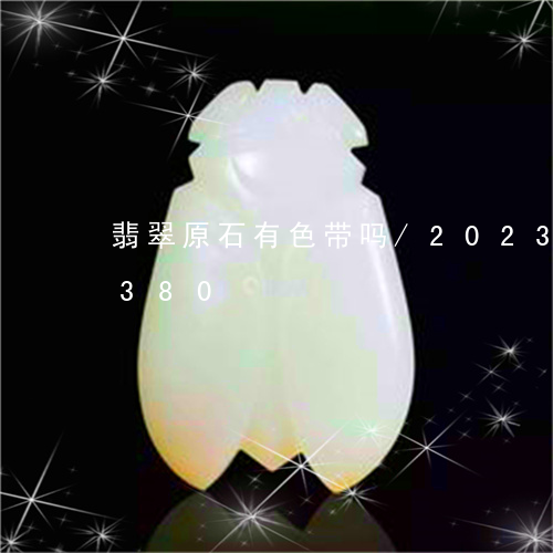 翡翠原石有色带吗/2023041720380