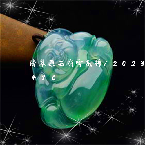 翡翠原石有雪花棉/2023120559470