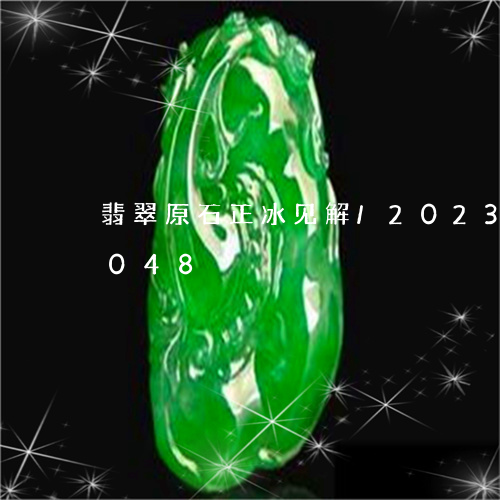 翡翠原石正冰见解/2023120516048