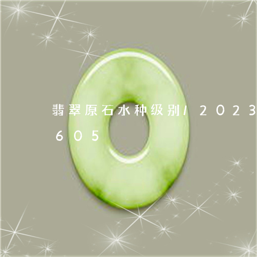 翡翠原石水种级别/2023120513605