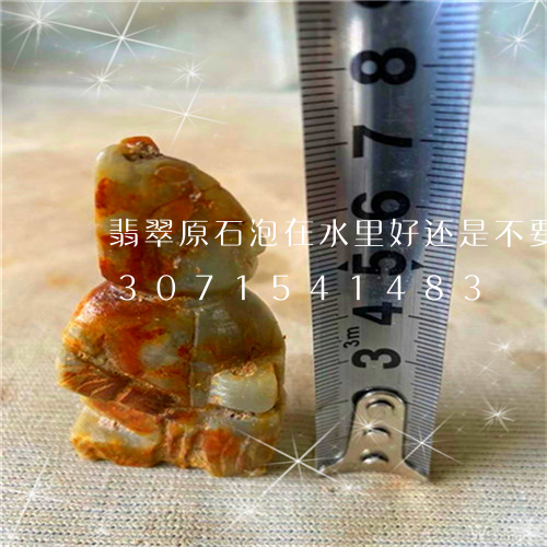 翡翠原石泡在水里好还是不要泡好/2023071541483