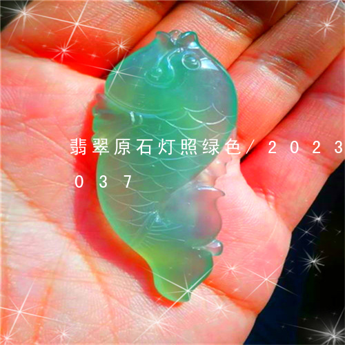 翡翠原石灯照绿色/2023120596037