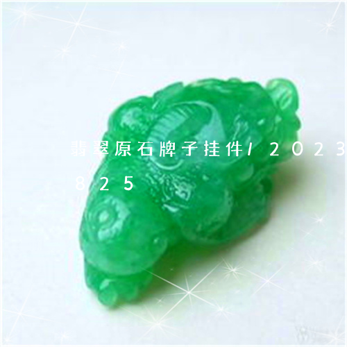 翡翠原石牌子挂件/2023120563825