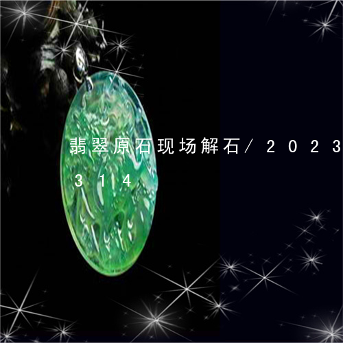 翡翠原石现场解石/2023041601314