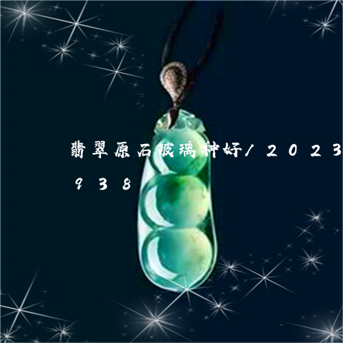 翡翠原石玻璃种好/2023120513938