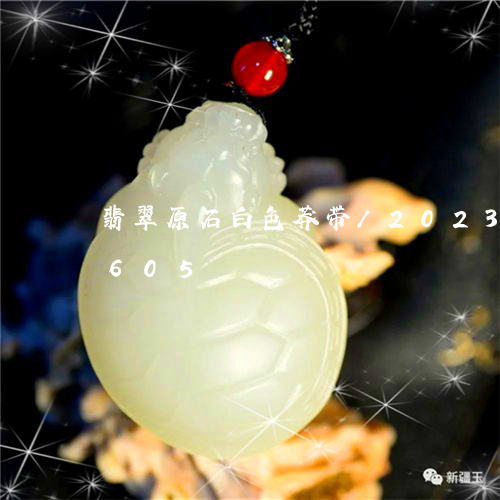 翡翠原石白色莽带/2023120511605