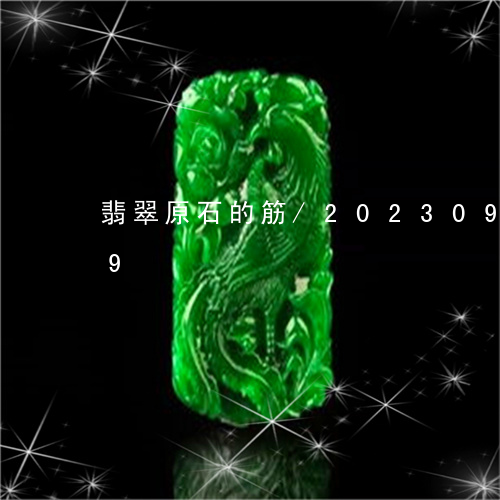 翡翠原石的筋/2023092427259