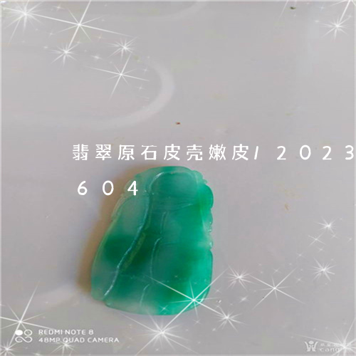 翡翠原石皮壳嫩皮/2023120412604