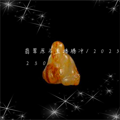 翡翠原石直播腾冲/2023073196250