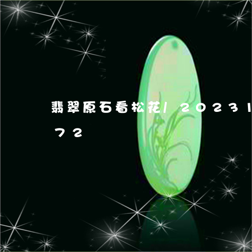 翡翠原石看松花/2023100757272