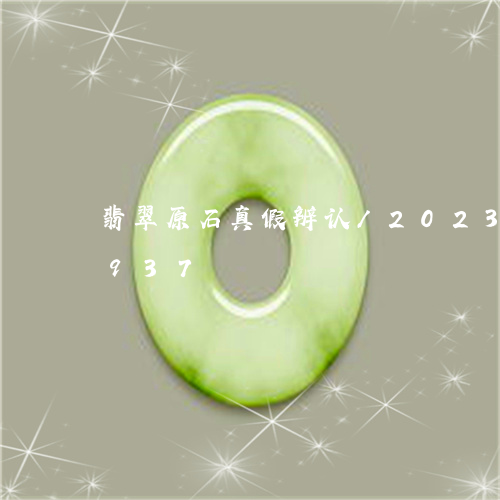 翡翠原石真假辨认/2023120413937