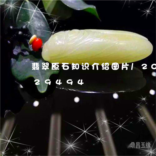 翡翠原石知识介绍图片/2023081329494