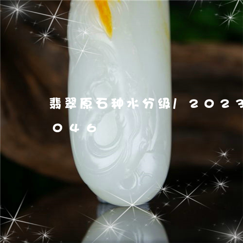 翡翠原石种水分级/2023120425046