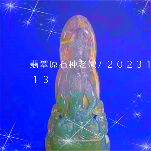 翡翠原石种老嫩/2023100801713