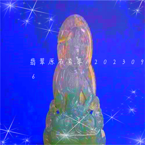 翡翠原石紧莽/2023092413716