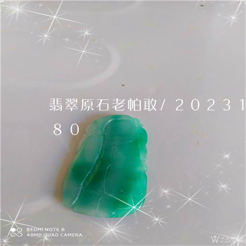 翡翠原石老帕敢/2023100860580