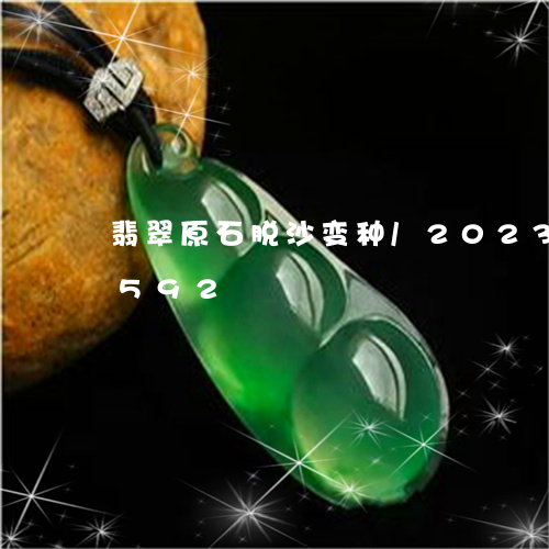 翡翠原石脱沙变种/2023120492592