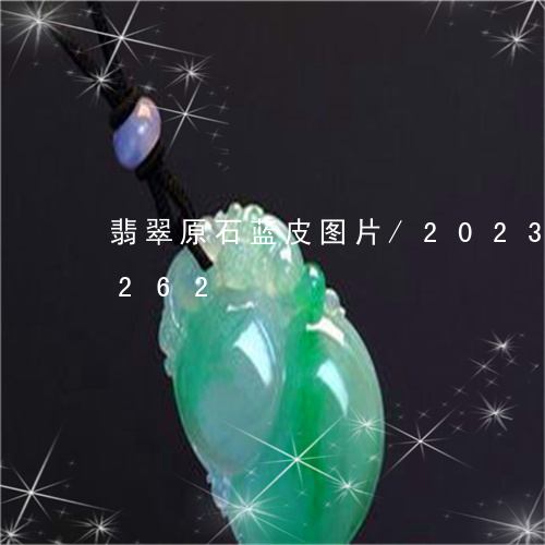 翡翠原石蓝皮图片/2023120460262