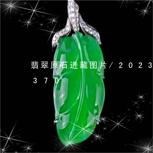 翡翠原石进藏图片/2023120478370