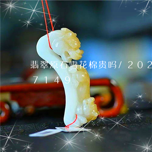 翡翠原石雪花棉贵吗/2023120537149