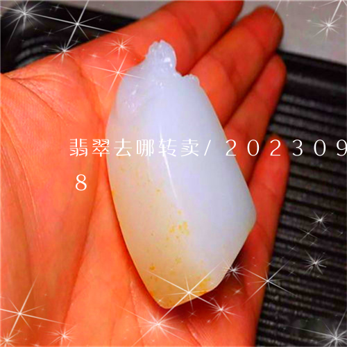 翡翠去哪转卖/2023092474038