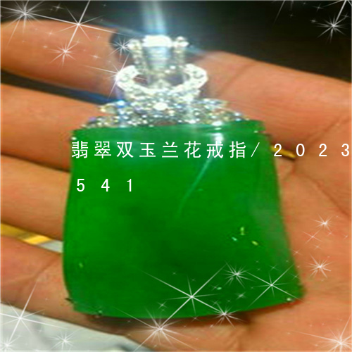 翡翠双玉兰花戒指/2023041621541