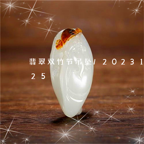 翡翠双竹节吊坠/2023100781825