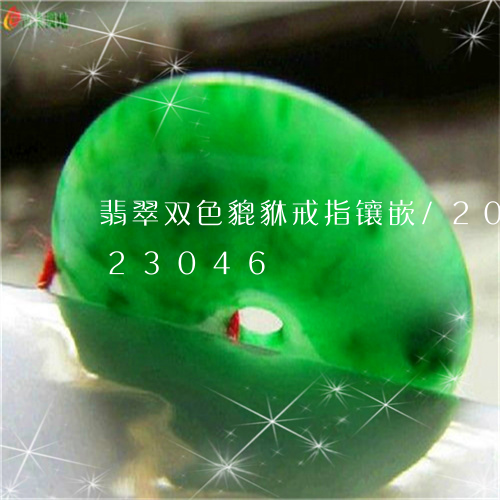 翡翠双色貔貅戒指镶嵌/2023112423046