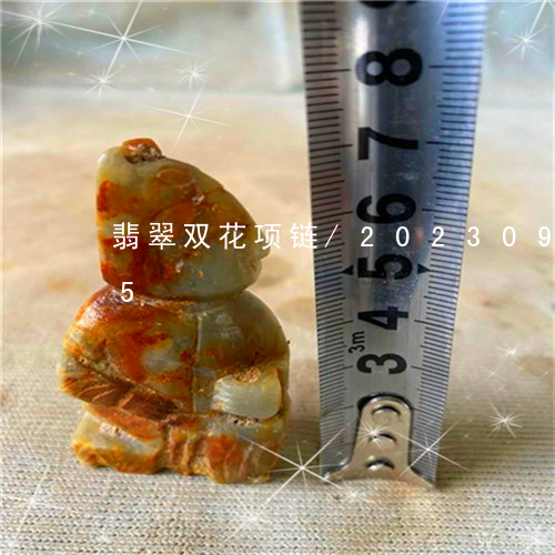 翡翠双花项链/2023092475925