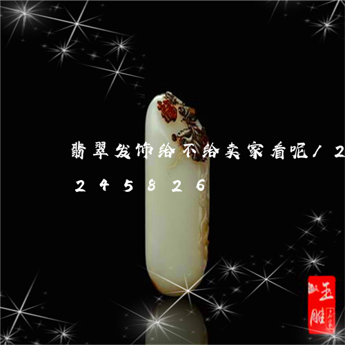 翡翠发饰给不给卖家看呢/2023110245826