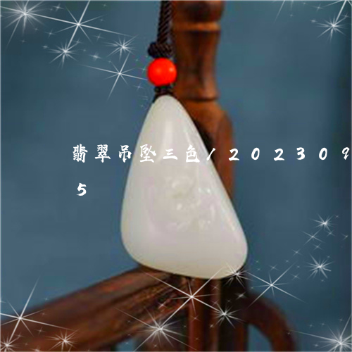 翡翠吊坠三色/2023092403695