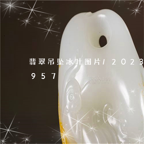 翡翠吊坠冰叶图片/2023120365957