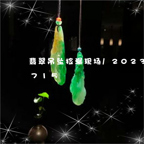 翡翠吊坠捡漏现场/2023120371715