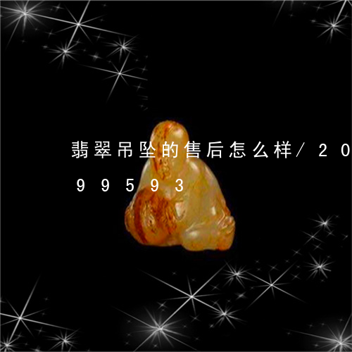 翡翠吊坠的售后怎么样/2023092999593