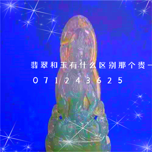 翡翠和玉有什么区别那个贵一些/2023071243625