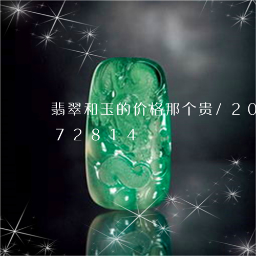 翡翠和玉的价格那个贵/2023081372814