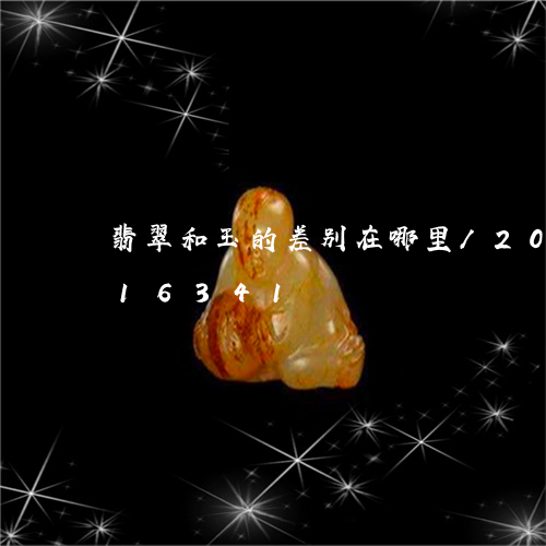 翡翠和玉的差别在哪里/2023081316341