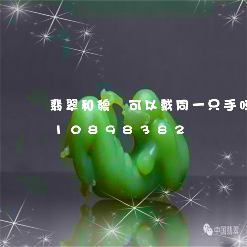 翡翠和貔恘可以戴同一只手吗/2023110898382