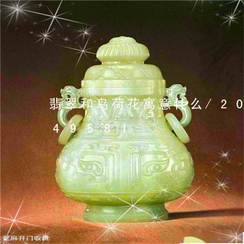 翡翠和鸟荷花寓意什么/2023081349581