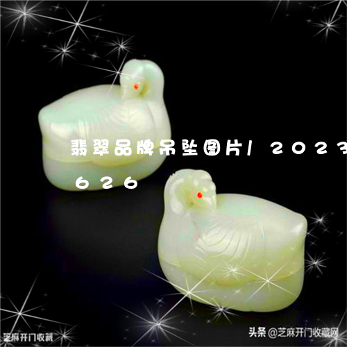 翡翠品牌吊坠图片/2023041667626