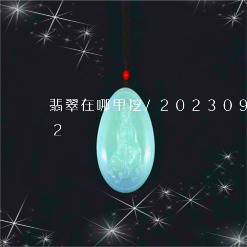 翡翠在哪里挖/2023092470592