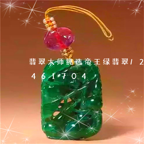 翡翠大师挑选帝王绿翡翠/2023112461704