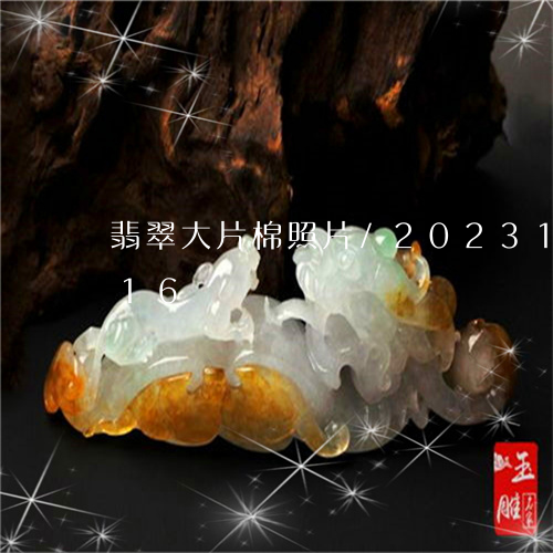 翡翠大片棉照片/2023100890716