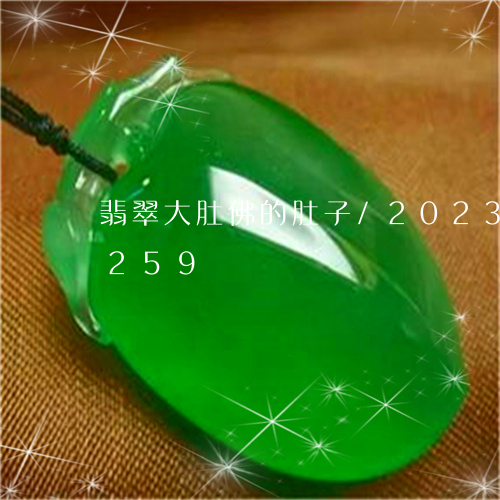 翡翠大肚佛的肚子/2023120425259