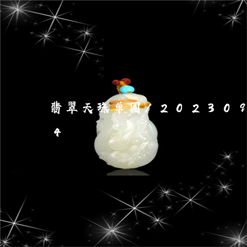 翡翠天珠单圈/2023092463694