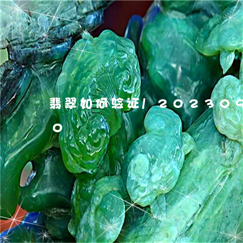 翡翠如何验证/2023092317450