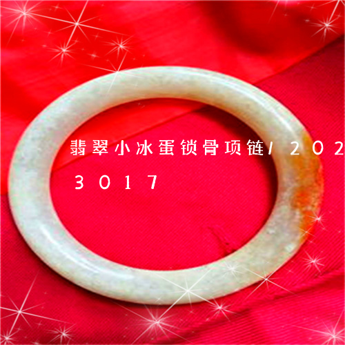 翡翠小冰蛋锁骨项链/2023120683017