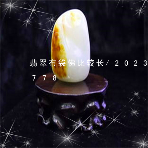 翡翠布袋佛比较长/2023041633778