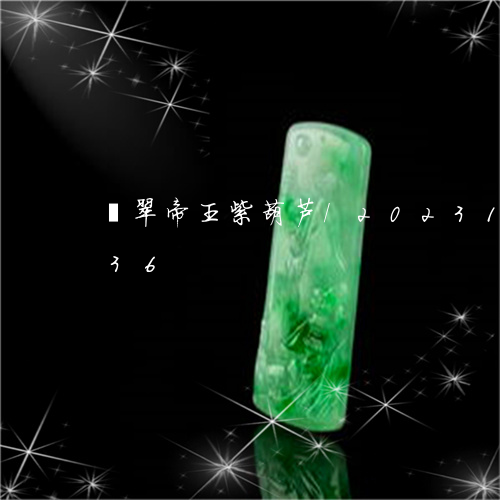 翡翠帝王紫葫芦/2023100765836